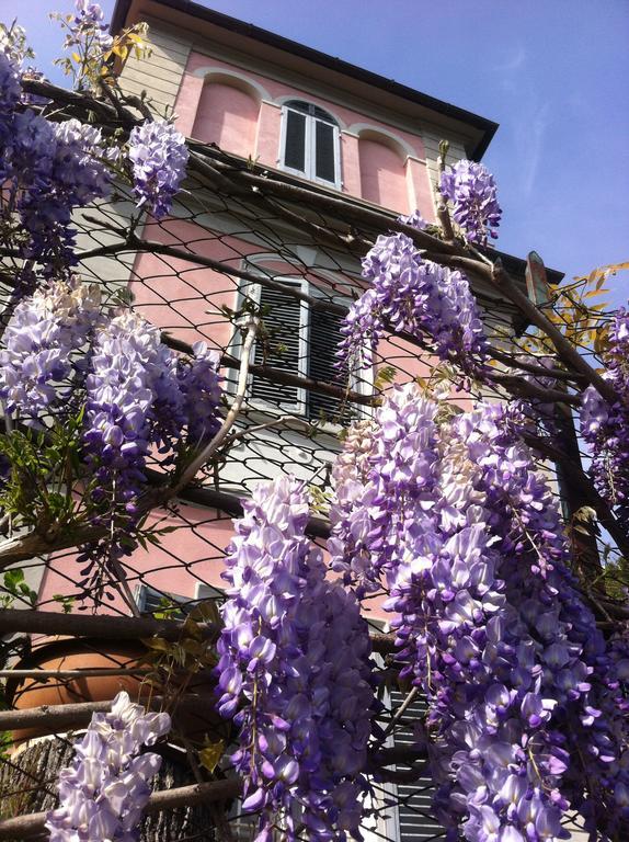 Villa Arianna B&B Lari Exteriér fotografie